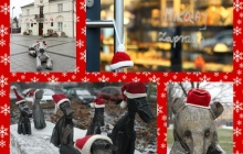 Mikołajkowe czapeczki od “Zamotanych w Piasecznie” ozdobiły miasto