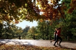Piaseczno: Bieg złotych liści
