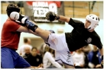 VI Mazovia Cup International 2012 - międzynarodowy turniej sztuk walki