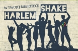Biblioteczny Harlem Shake