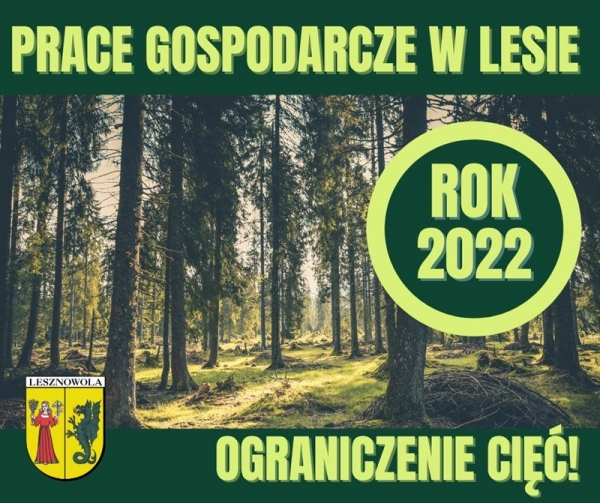 Zmniejszona intensywność cięć w lasach w 2022 roku!