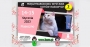 Międzynarodowa Wystawa Kotów Rasowych Piaseczno 2023