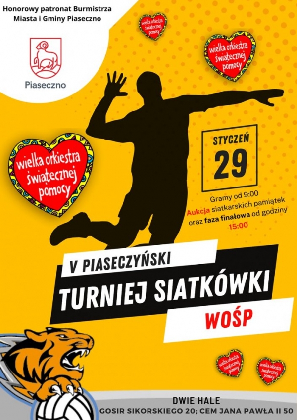 V Piaseczyński Turniej Siatkówki