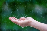“Piaseczno łapie deszcz” – ruszył nabór wniosków o dotację